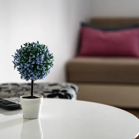 Nature View Apartament